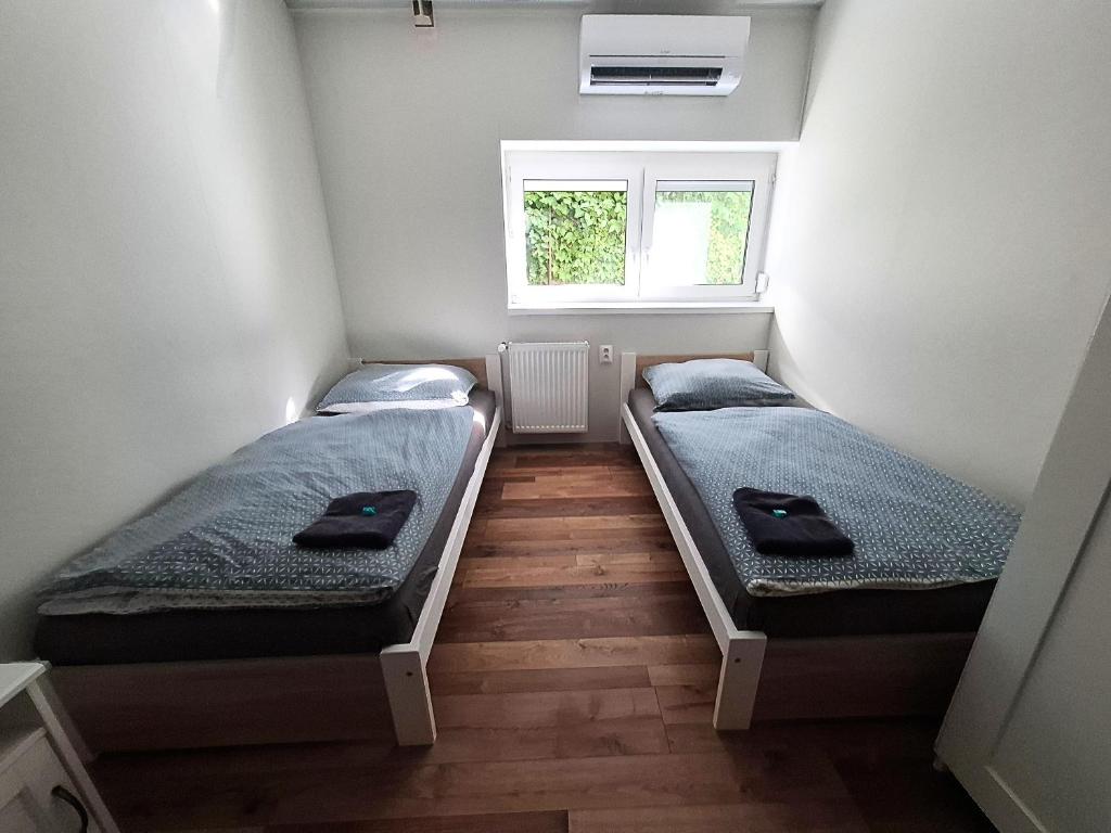 Dimael Hostel & Apartments - Resim 7