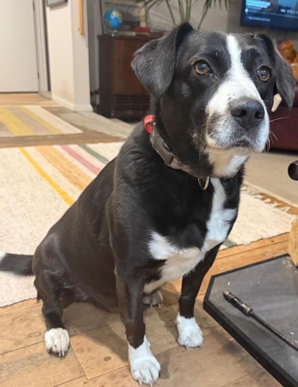 Just a little bit country - Resim 14