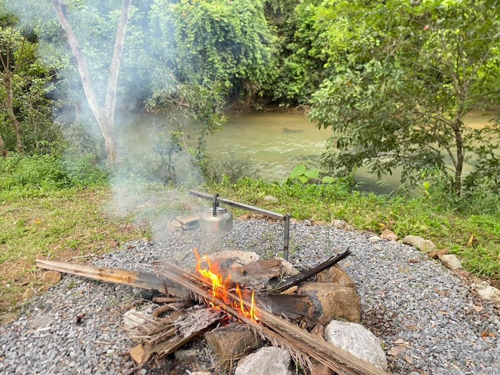 Amornkeeree Khao Sok Camping - 6