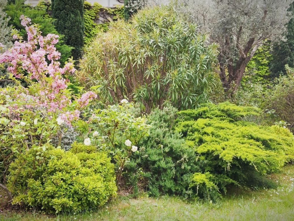 STRAVINSKY Apartments Avignon - Resim 20