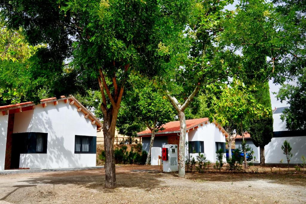 Bygningen som campingpladsen ligger i