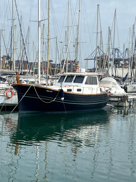 a boat docked in a harbor with other boats at Xanquete in Valencia