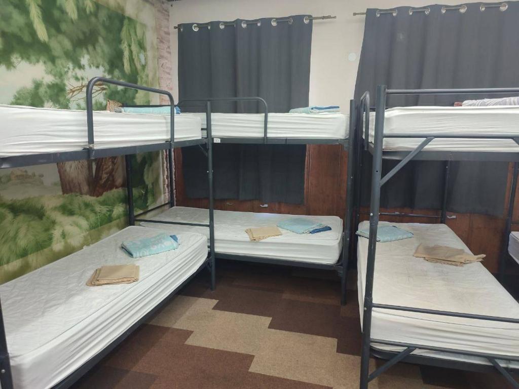 Хостел ФИЛИН фото 2