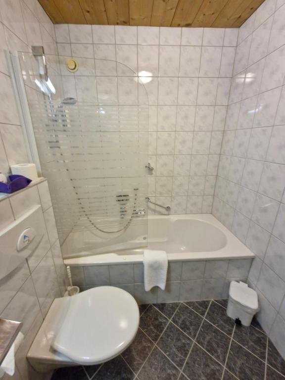 Pension Sattelkopf - 17