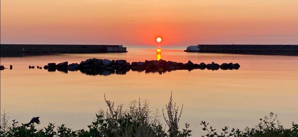 a group of birds sitting on the water at sunset at Villa 16 in Kivik