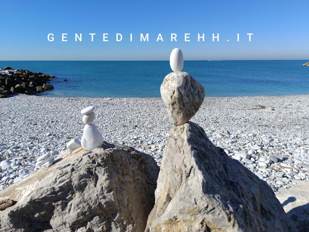 two seagulls sitting on a rock on a beach at Gente di Mare Holiday House in Marina di Pisa