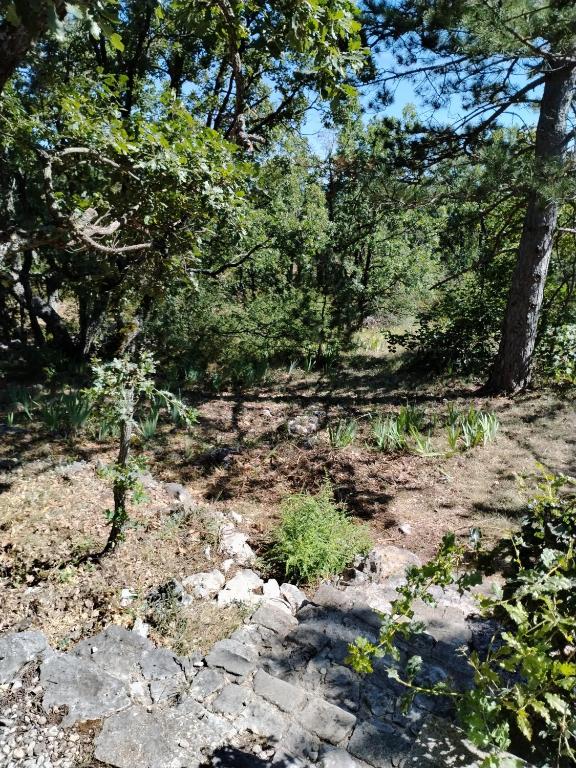 Galeriebild der Unterkunft maison de 4000m2 in Monieux