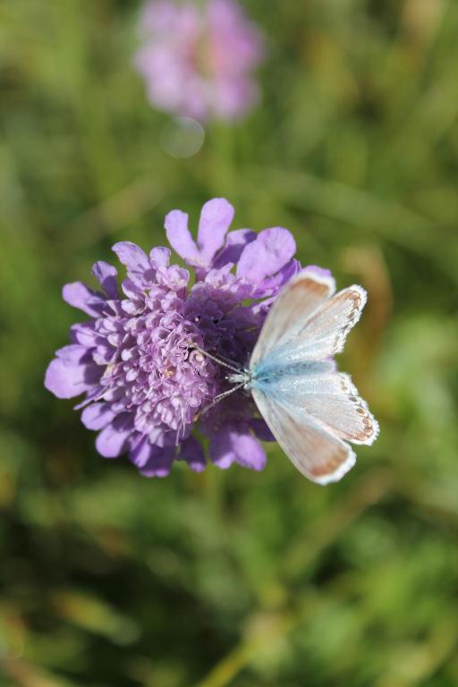 Fotografie z fotogalerie ubytování Hotel Cir v Selva di Val Gardena