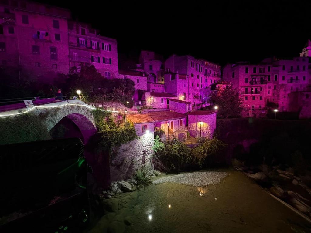 une ville éclairée la nuit avec des lumières violettes dans l'établissement A Cola, à Rocchetta Nervina