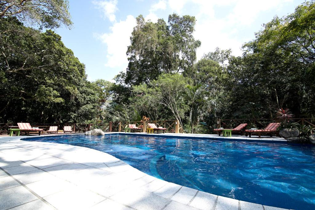 
The swimming pool at or near Hotel Jungle Lodge Tikal
