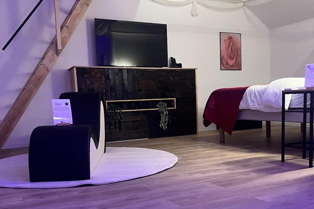 une chambre avec un lit et une télévision à écran plat dans l'établissement La Maison Du Plaisir Loveroom Pontorson, à Pontorson
