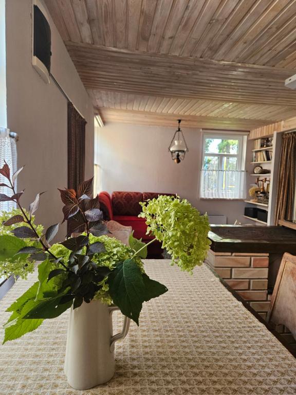 Posezení v ubytování NamiņŠ AMRAI