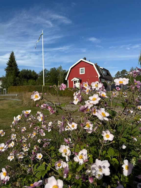 Traumhaus mit Seegrundstück