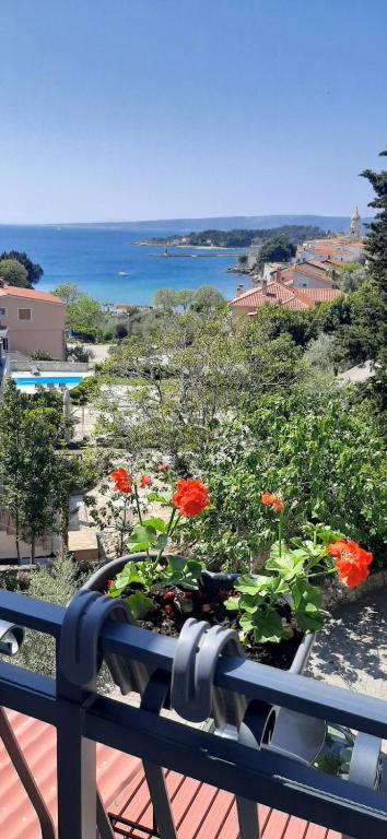 Apartman Petra