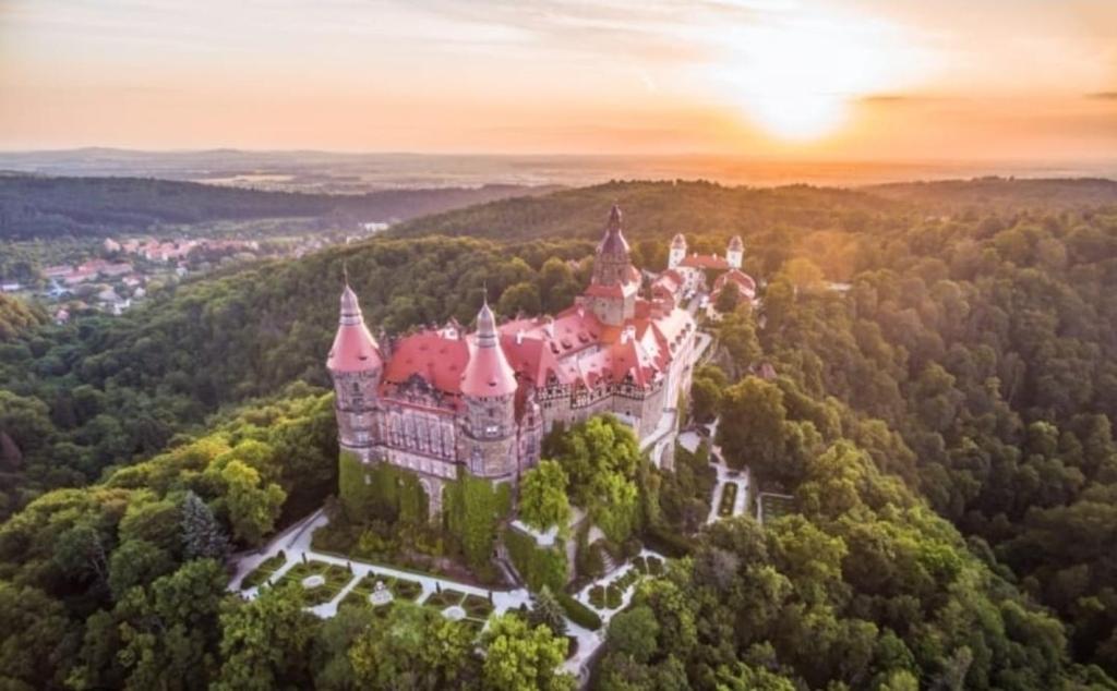 una vista aerea di un castello nella foresta di Blu Apartments a Jugów
