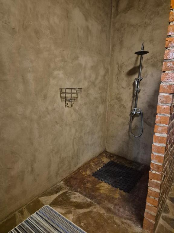 a shower in a bathroom with a brick wall at Boemsies in Jacobsdal