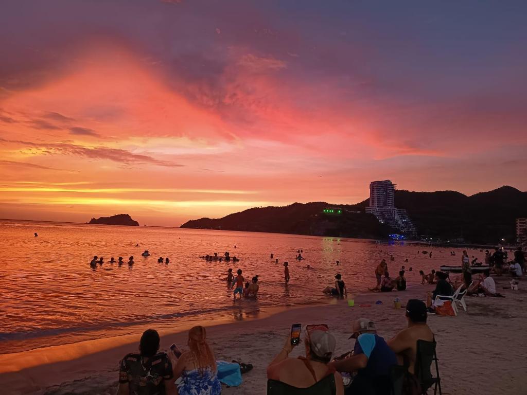 Naturlandskabet i nærheden af lejligheden