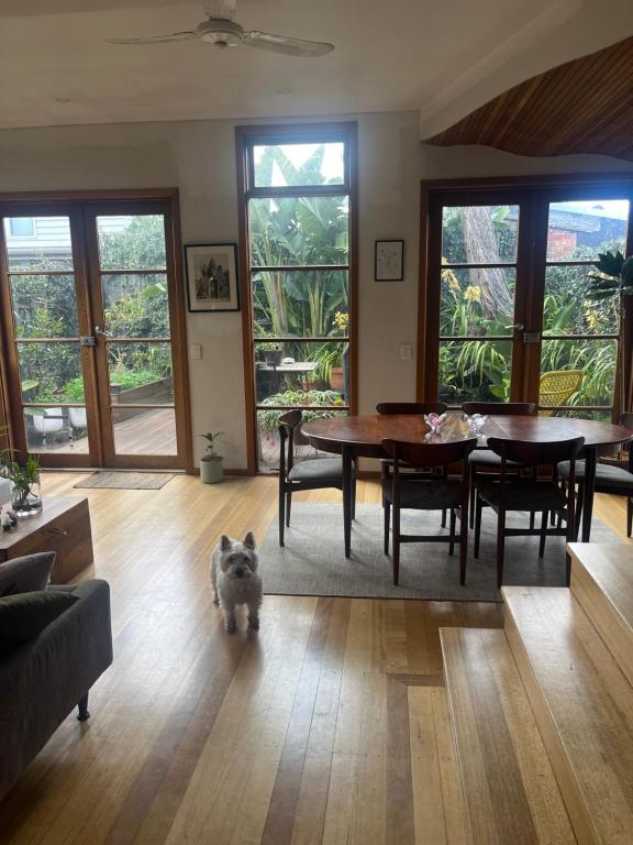 a dog standing in a living room with a table at Nelson - architect designed oasis Port Melbourne in Melbourne