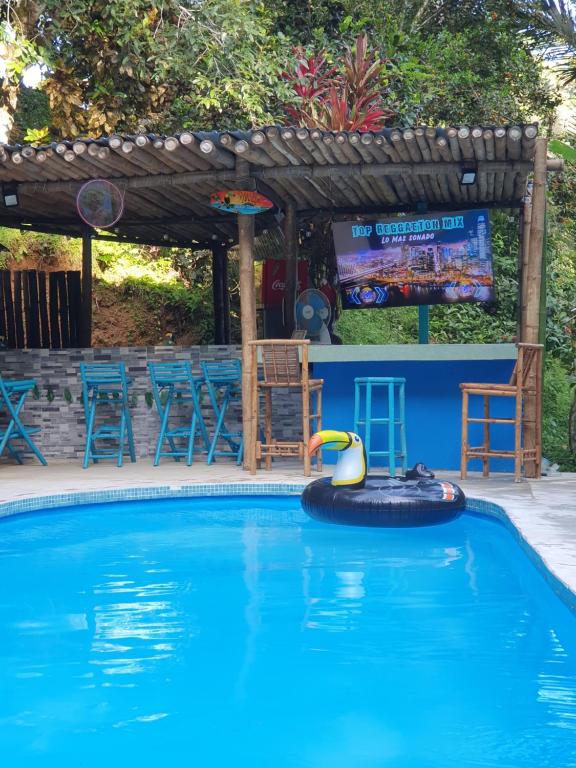カウイータにあるPlaza Tucanitoの水中のゴムダック付きスイミングプール
