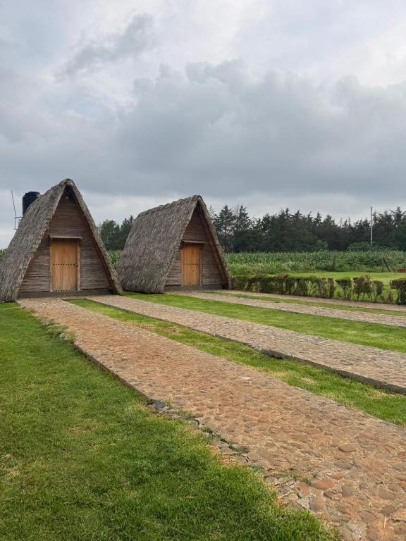 two small huts in a field of grass with a sky at Cabañas Green Life, Huasca de Ocampo in Huasca de Ocampo