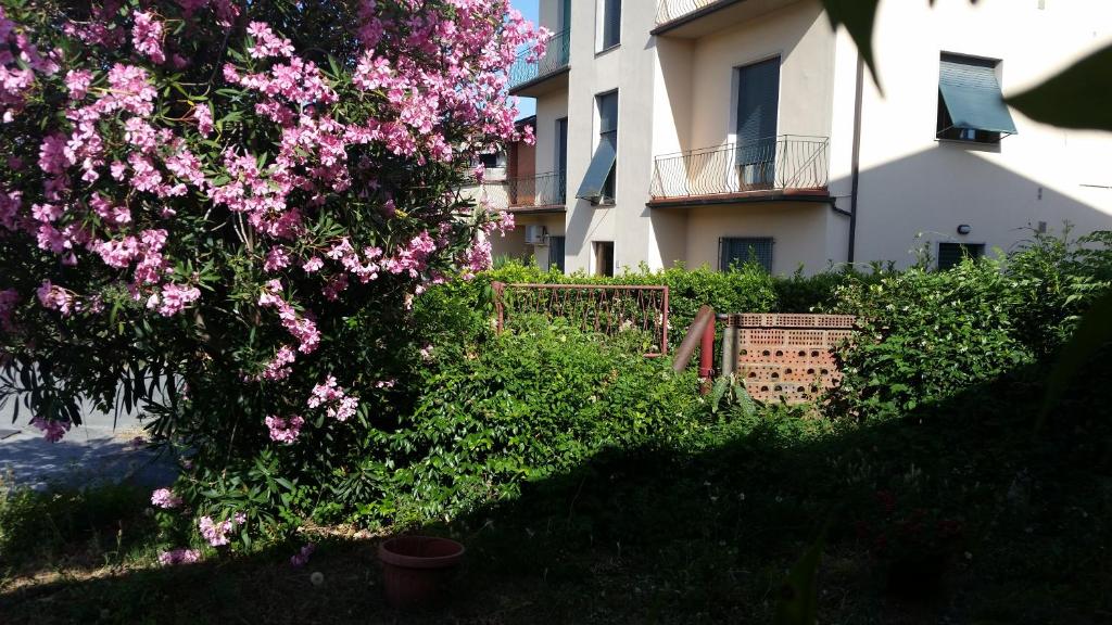Zahrada ubytování Hotel Tarabaralla