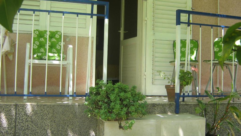 Zahrada ubytování Apartment and rooms Laguna