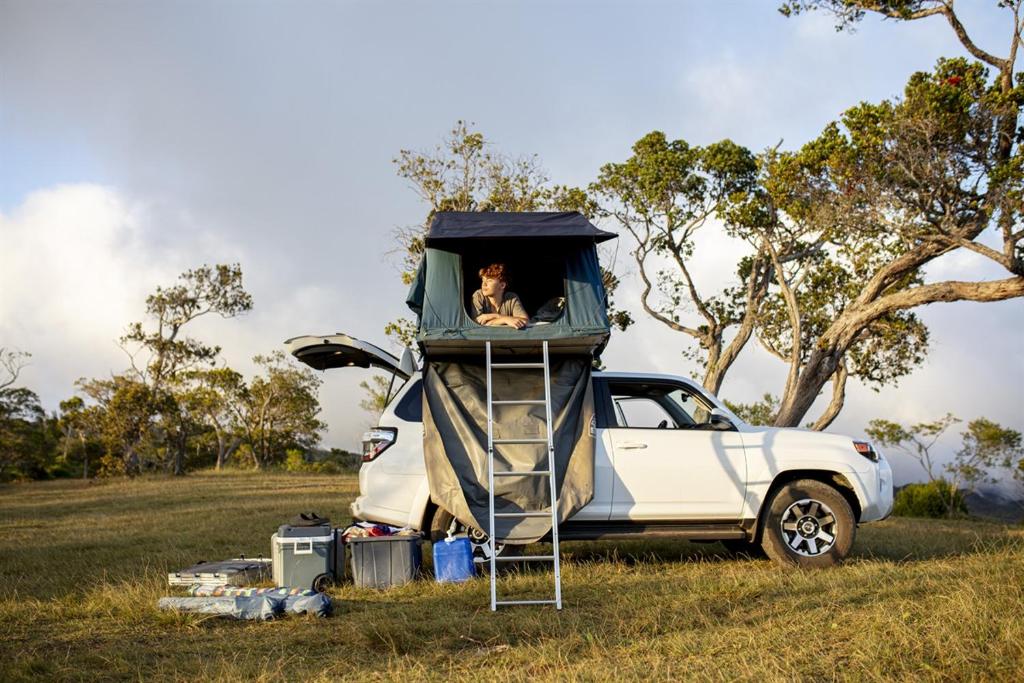 Un perro está sentado en la parte trasera de un camión. en Island Rooftop Camper, en Anahola