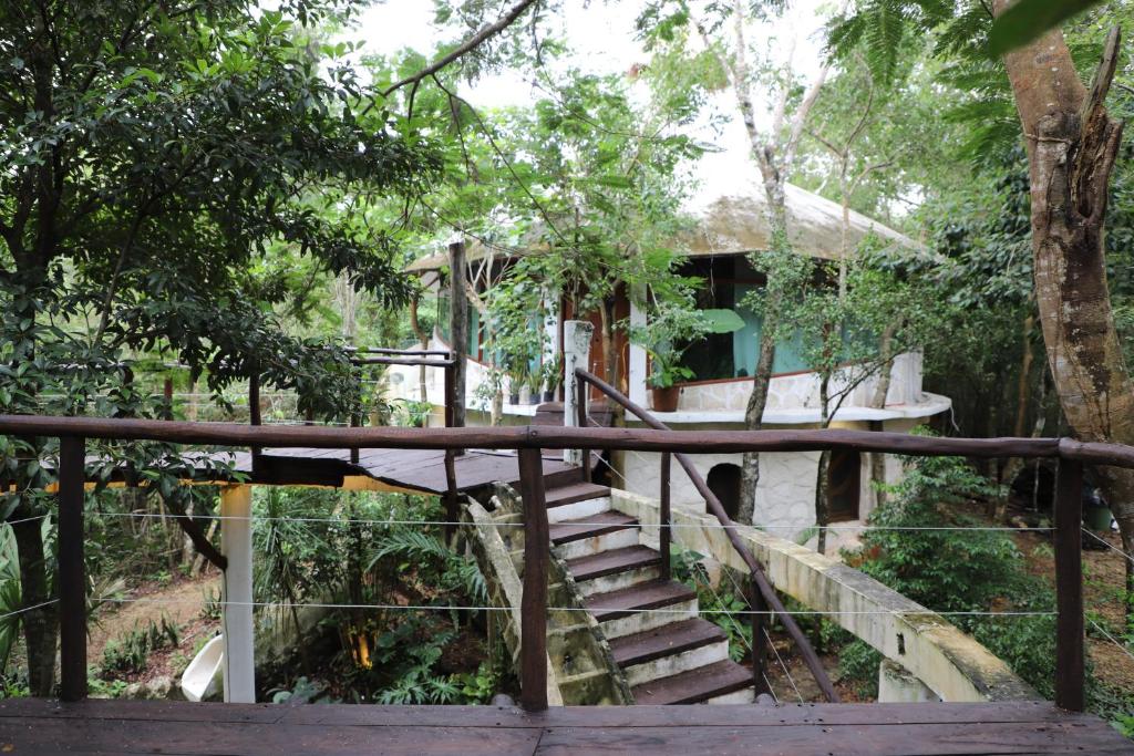 Κήπος έξω από το Casa Caracol