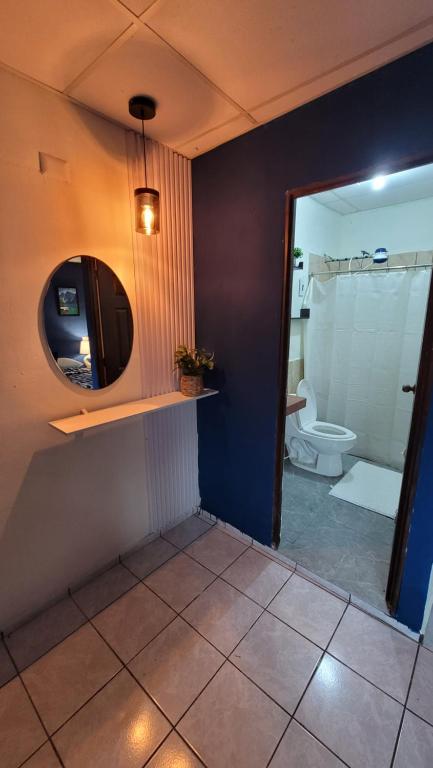 a bathroom with a toilet and a mirror at Blue Lion Lodge in Juayúa