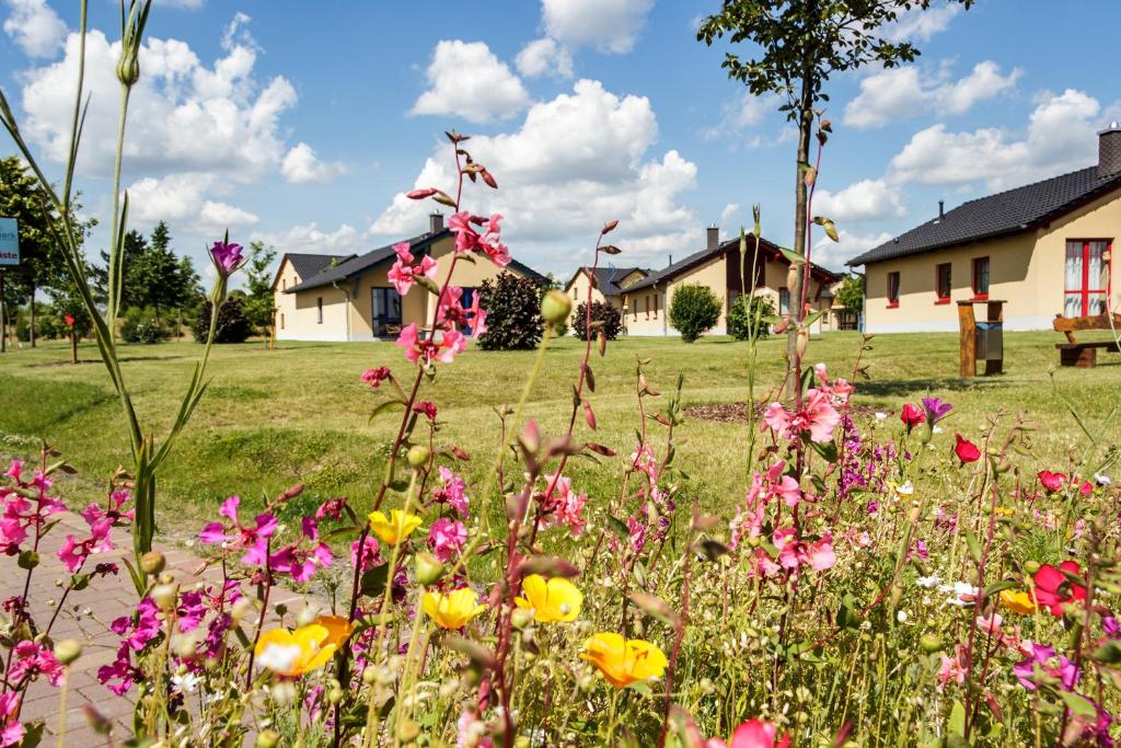 een bloemenveld met huizen op de achtergrond bij Seepark Auenhain in Markkleeberg