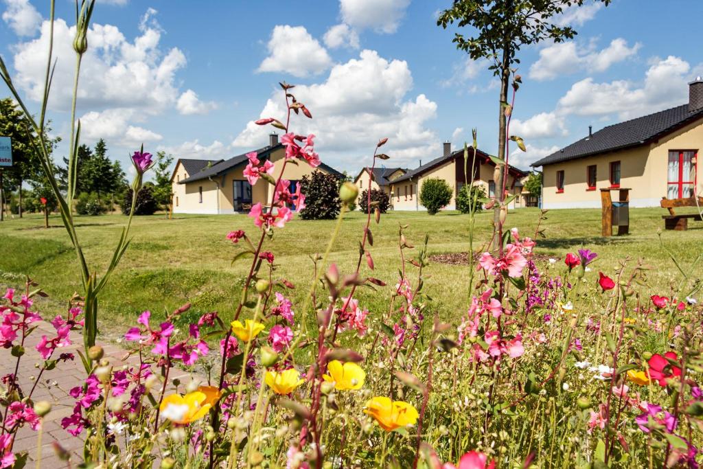 Zahrada ubytování Seepark Auenhain