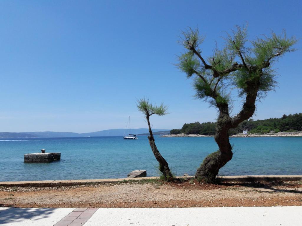 two trees on the shore of a body of water at Apartment Summer Dream in Punat