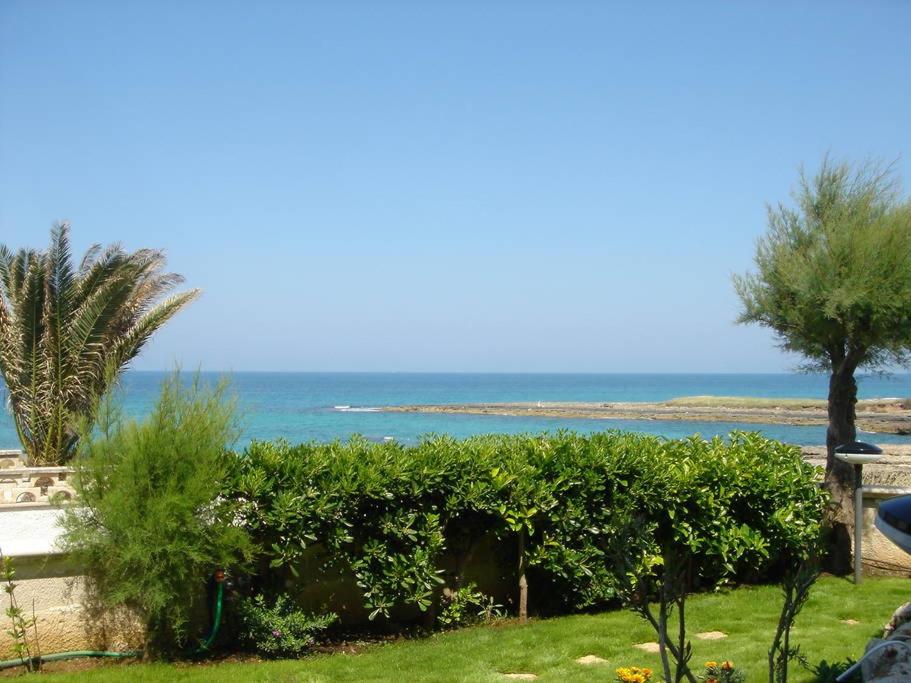 トッレ・サンタ・サビーナにあるLoft Giuliaの庭園からの海の景色