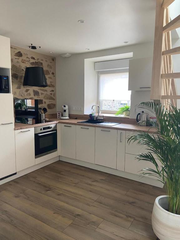 a kitchen with white cabinets and a potted plant at Petite maison à la campagne in Ploudaniel