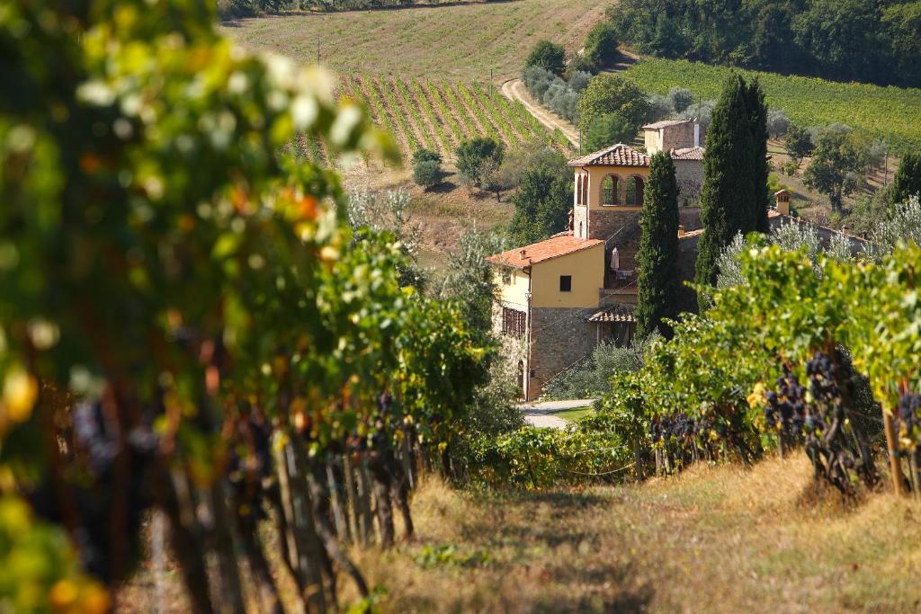 a vineyard with a house in the middle of a field at Poggio Rozzi in Tavarnelle in Val di Pesa