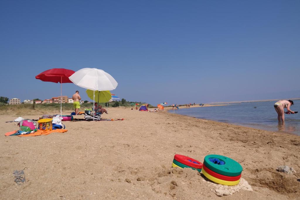 Przyroda w pobliżu tego pensjonatu