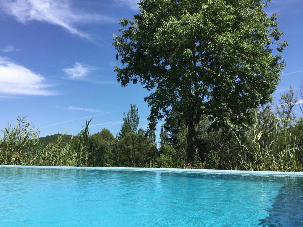a blue swimming pool with a tree in the background at Mas Pardas in Santa Pau