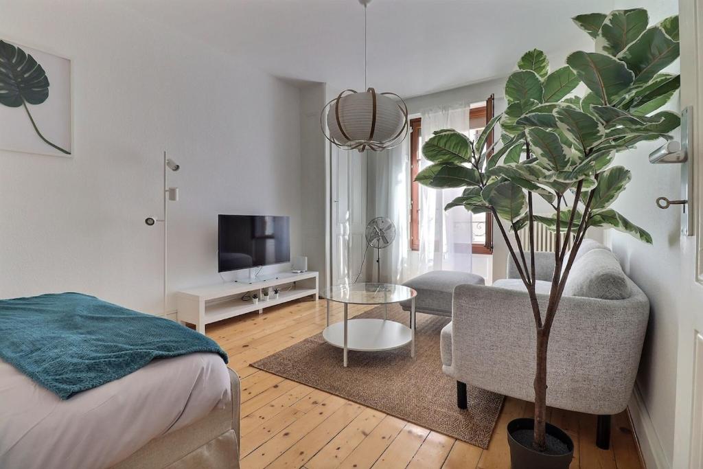 P&R, 2 room, cosy, heart of Eaux-Vives
