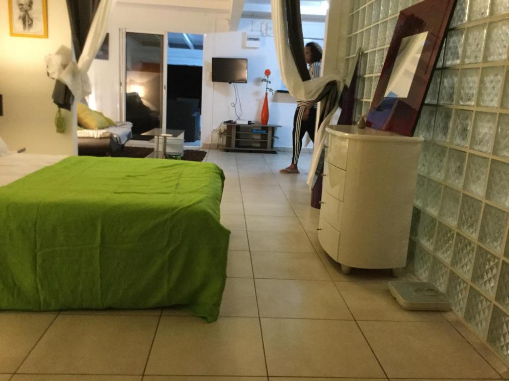 een woonkamer met een groen bed en een bank bij Le gîte les haut de la Marina in Basse-Terre