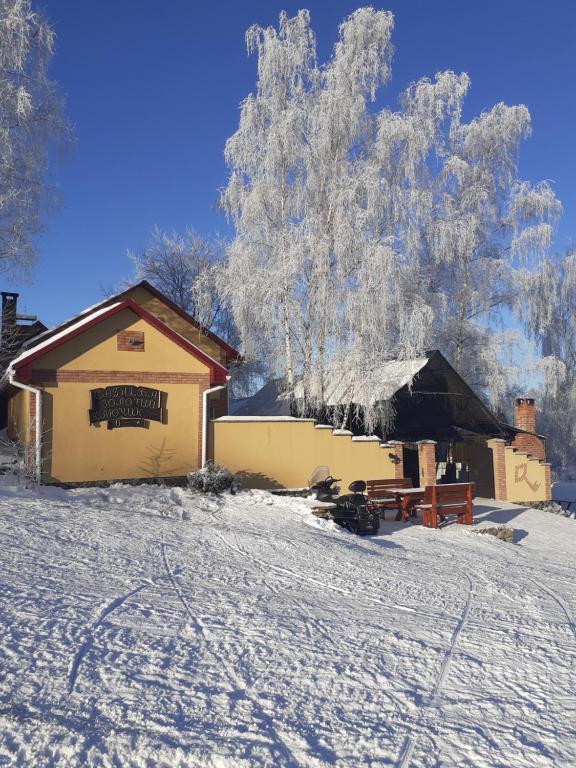 ヴァイシュカにあるЗолотий Ключикの雪に覆われた野原にある雪の積もった建物
