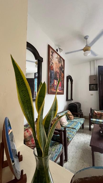 a vase with a plant sitting on a table in a living room at Hotel Casa Morazán in Granada