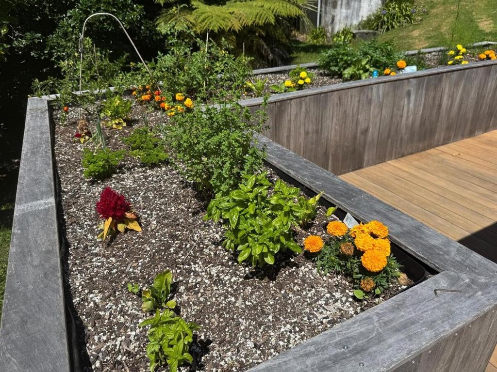 Beautiful Tranquil Paradise - Resim 17