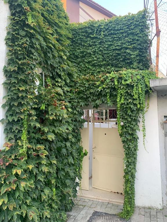 an ivy covered building with a garage at House of Leaves in Berat