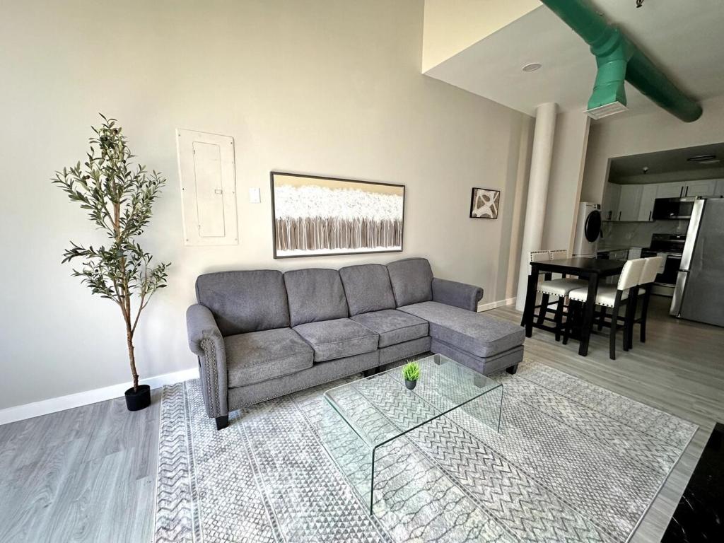 ein Wohnzimmer mit Sofa und Tisch in der Unterkunft Private Entrance Cozy Apt Bright Modern in Albany