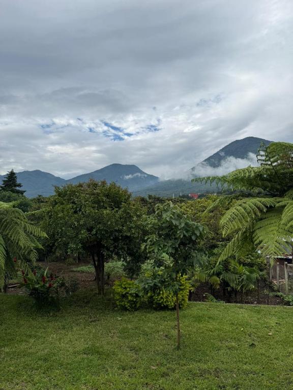 a green field with trees and mountains in the background at Villa San Carlos in Juayúa