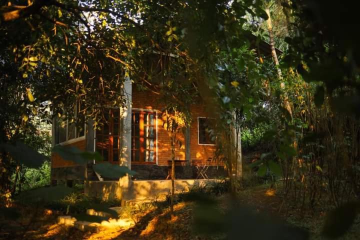 a small house in the middle of a forest at Aum Hum Homestay in Fang