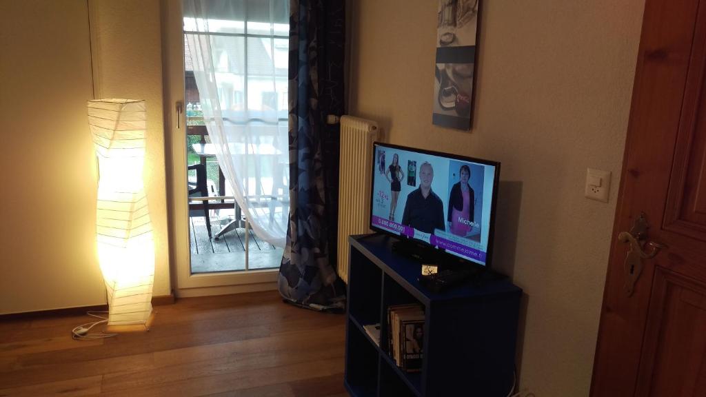 TV a/nebo společenská místnost v ubytování Au P'tit Bonheur