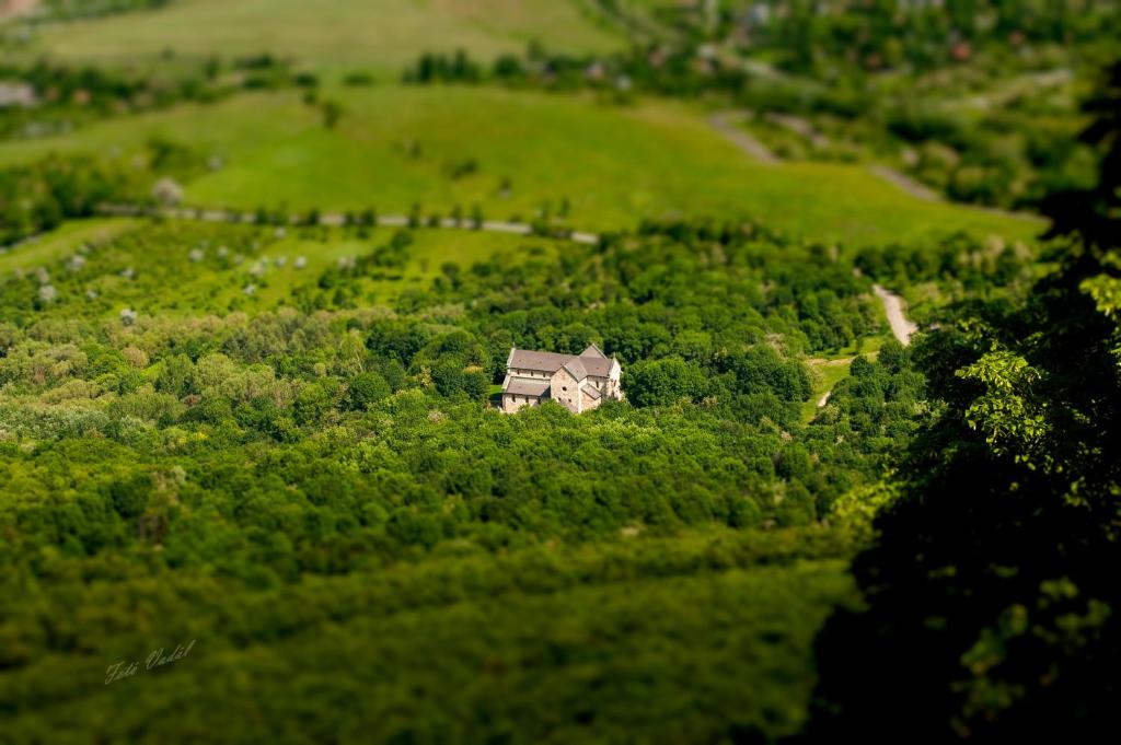 Příroda nedaleko penzionu