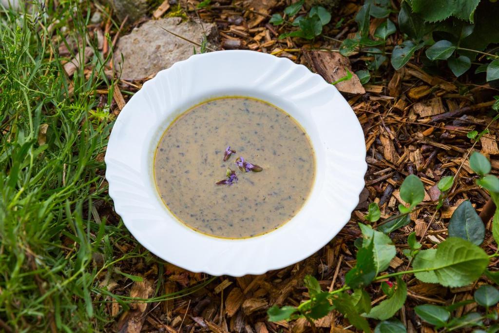 Kräuterhotel Garni Zur Klostergrotte - 2