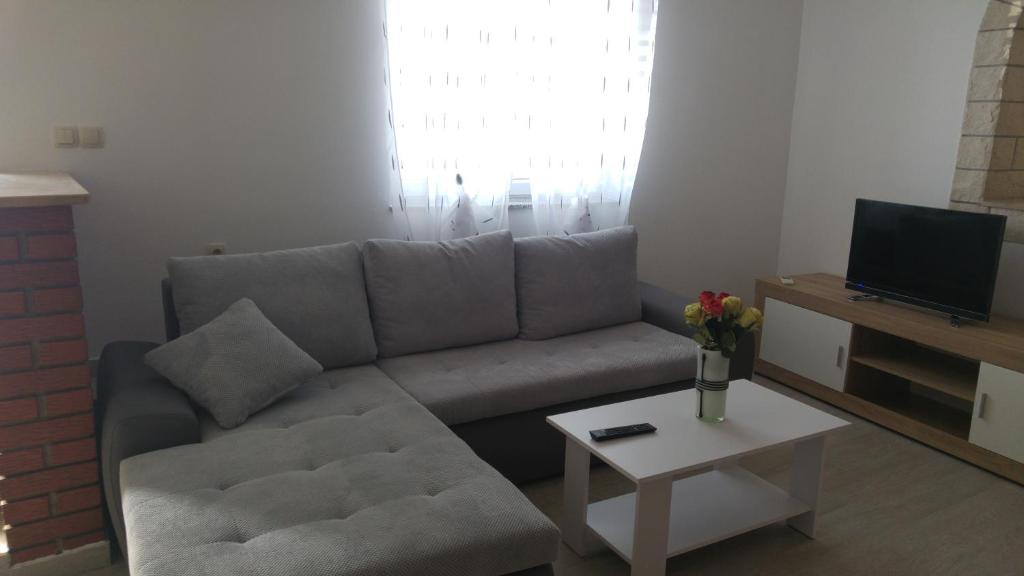 Televízia a/alebo spoločenská miestnosť v ubytovaní Apartments and room Suza
